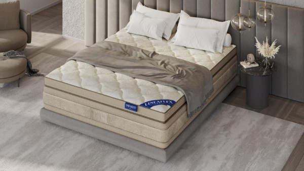 Матрас Gloria Gold с топпером Memory 42 200x200 см