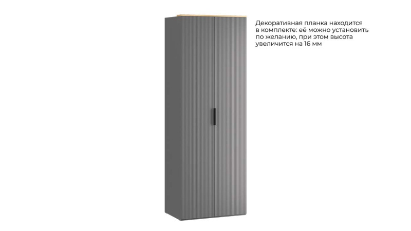 Шкаф для одежды с секцией «Айрис»
